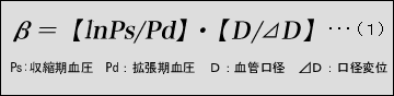 式1