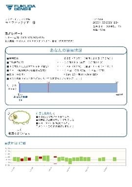 独自レポートの写真