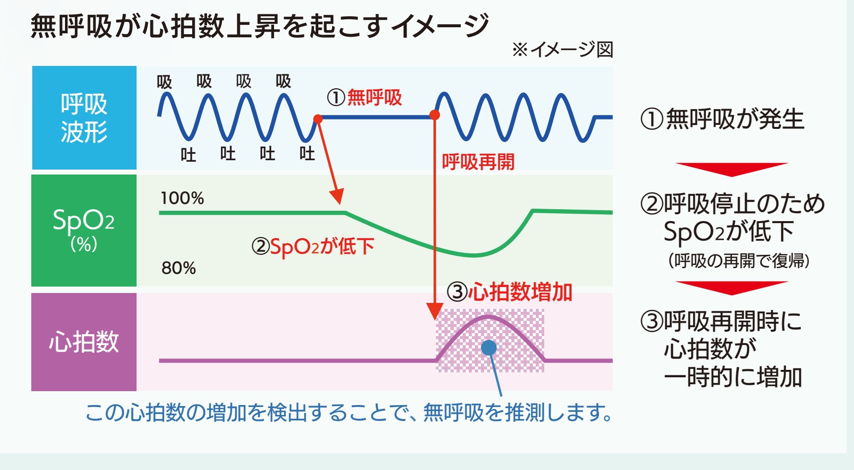 無呼吸が心拍数上昇を起こすイメージ図