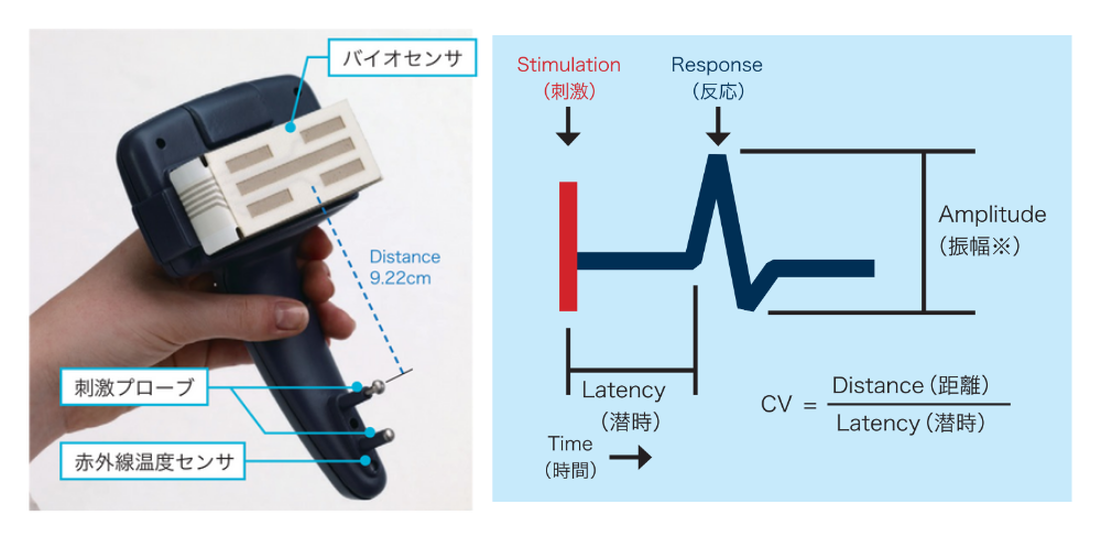 DPNHDN1000_feature_ex.png
