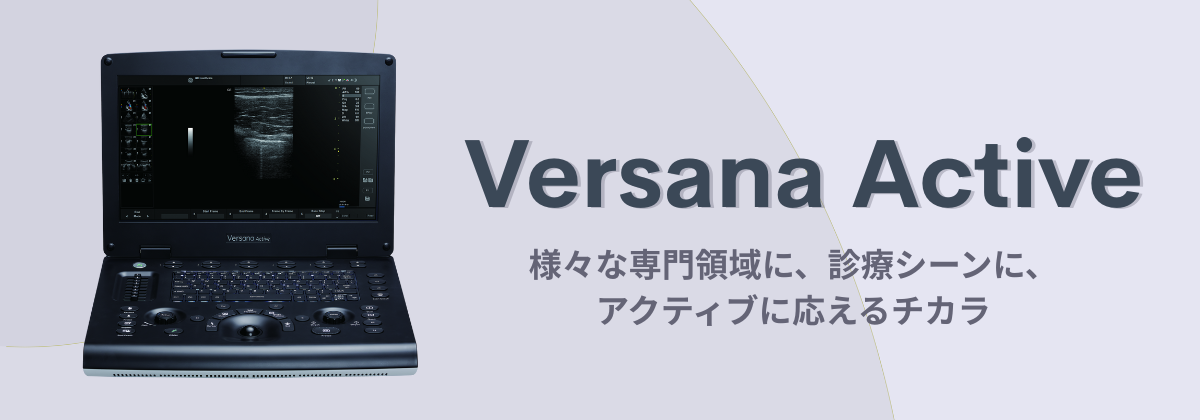 超音波画像診断器 パソコン付き　脂肪、筋肉　接骨院　エステ 超音波画像診断器 パソコン付き 脂肪、筋肉 接骨院 エステ 超音波画像