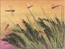 入賞画像