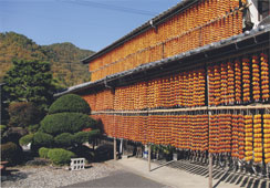 入賞画像