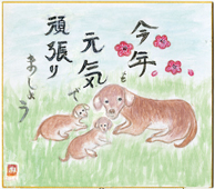 入賞画像