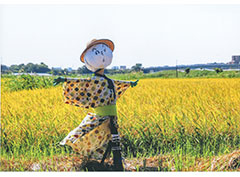 入賞画像